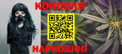 гашик Ставрополь