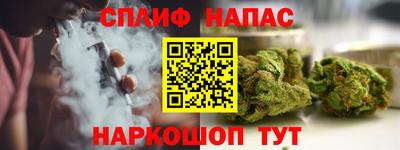 гидра Тверь
