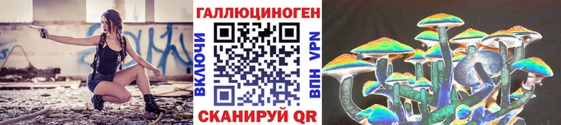 Галлюциногенные грибы Psilocybine cubensis Северобайкальск