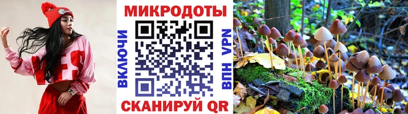 наркота  Северобайкальск  Галлюциногенные грибы MAGIC MUSHROOMS 