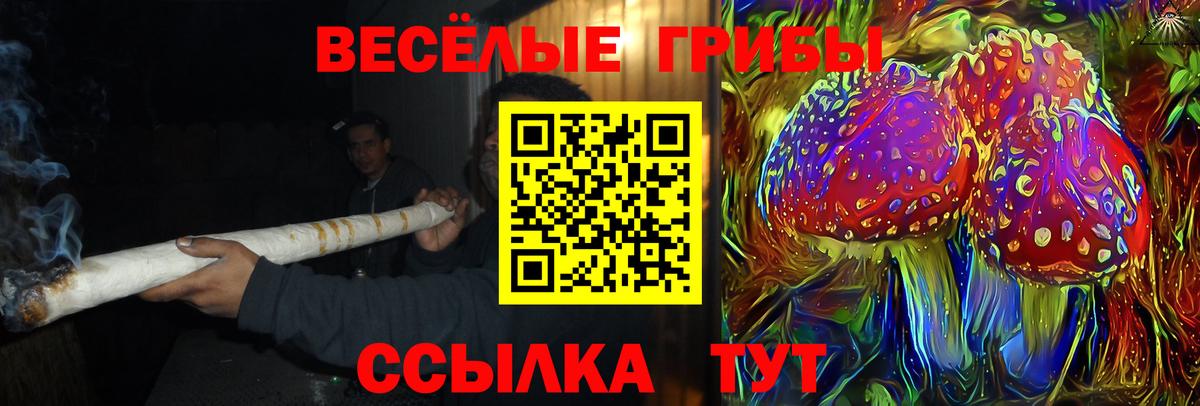 купить наркоту  Вход с VPN  Галлюциногенные грибы Magic Shrooms  Северобайкальск  Псилоцибиновые грибы Psilocybe 